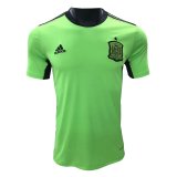 Spain Goalkeeper Green Jersey Mens 2021