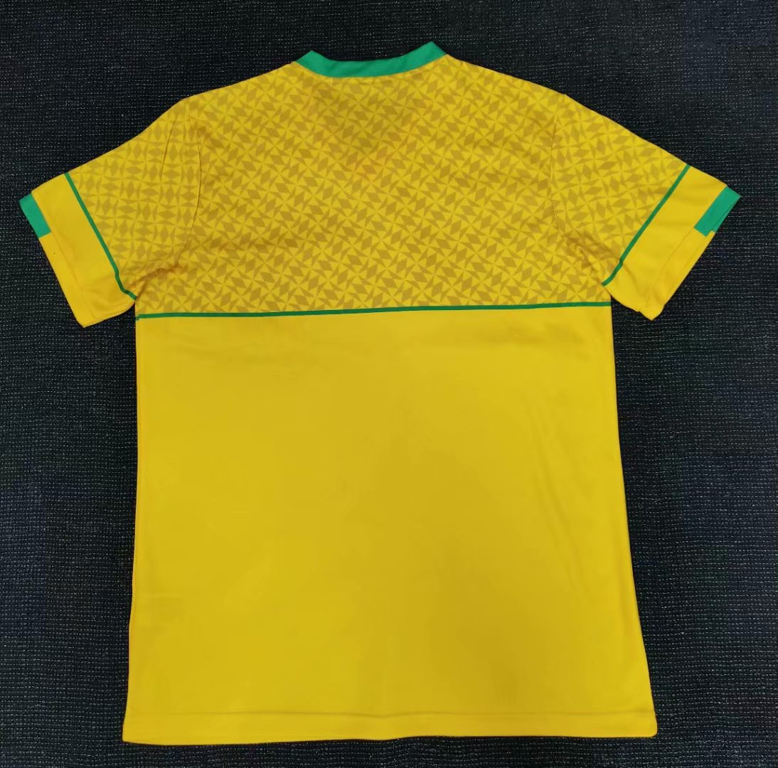 South Africa Home Jersey Mens 2021